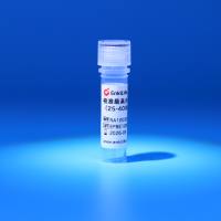 校准级高分子彩色预染蛋白Marker（25-400kDa）