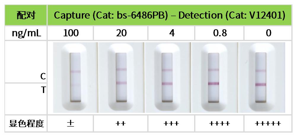 重点推荐 | 药物小分子检测相关配对抗体！