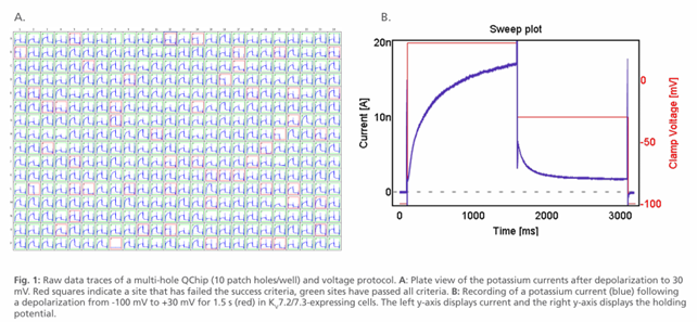 Qube 384全自动膜片钳技术助力癫痫药物研发——KV7.2/KV7.3通道的高通量化合物筛选研究