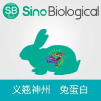 重组兔IL1R1蛋白 (His标签)