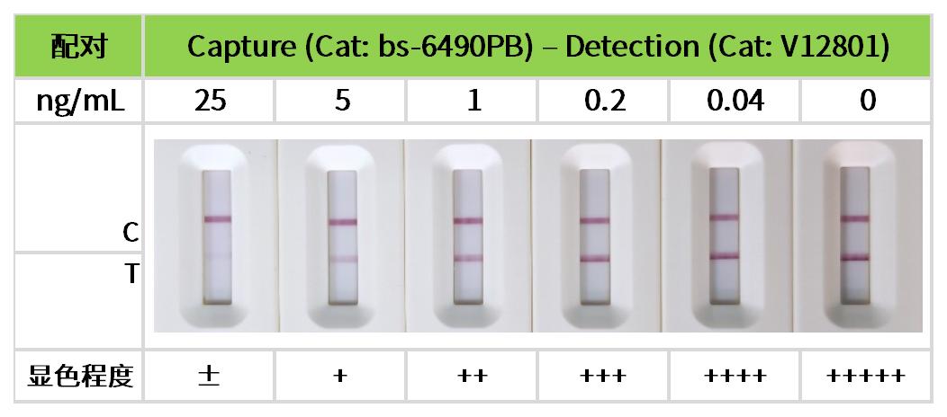 重点推荐 | 药物小分子检测相关配对抗体！