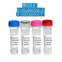 快速限制性内切酶 Speed NotI