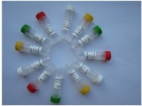 PLCγ1 (D9H10) XP® Rabbit mAb