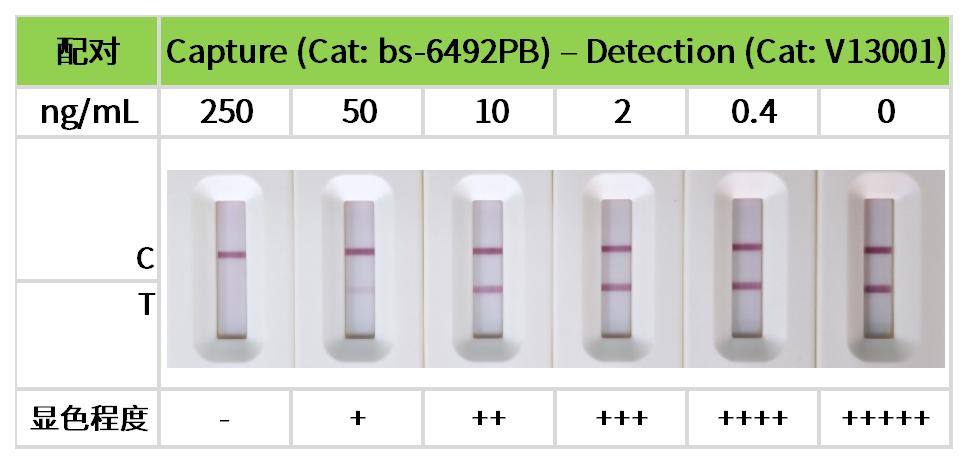 重点推荐 | 药物小分子检测相关配对抗体！