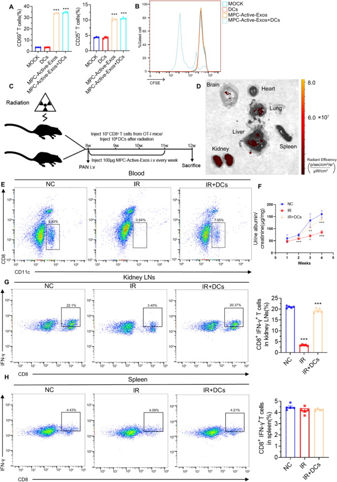 外泌体技术服务 外泌体技术服务