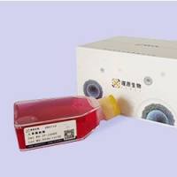 CHO-K1细胞专用培养基