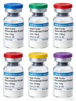 重组人 SCF/KITLG 蛋白（无标签）Recombinant Human SCF/KITLG Protein, No Tag