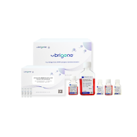 Ubri-Amrita™ iPSC重编程组合套装