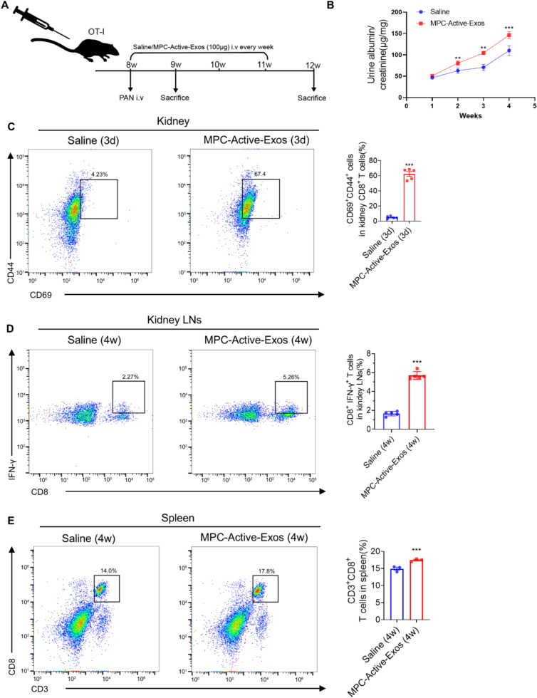外泌体技术服务 外泌体技术服务