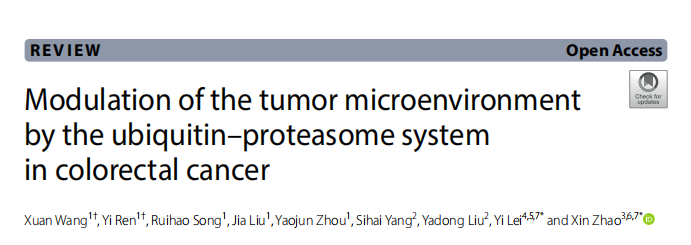 去泛素化专题|《Journal of Translational Medicine》解读：泛素 - 蛋白酶体系统重塑结直肠癌肿瘤微环境免疫抑制，为靶向治疗破局