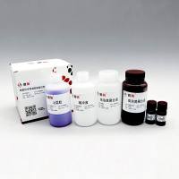 PG810 自动制胶仪专用凝胶制备试剂盒