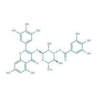 3-O-没食子酰粘酸