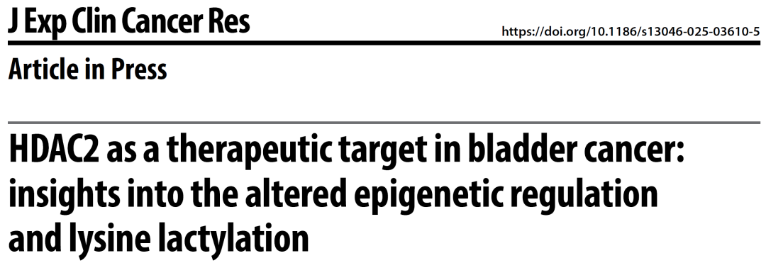 南京鼓楼医院研究团队揭示乳酸化+乙酰化调控识别膀胱癌治疗新靶点