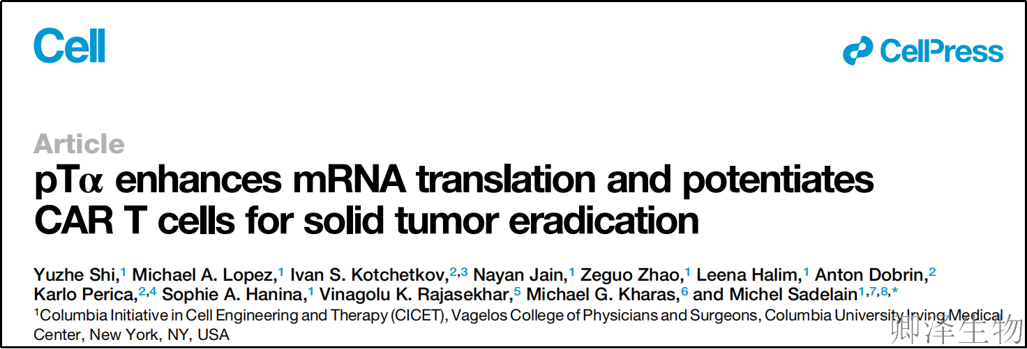 【细胞治疗领域应用】 | ：翻译组学技术让CAR-T细胞变身"超级战士"，实体瘤治愈曙光初现