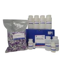 MagBeads高纯度粪便DNA提取试剂盒（磁珠法）