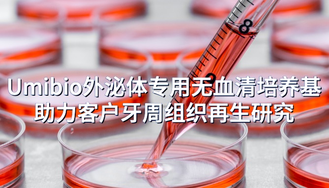 IF=20.3 | Umibio外泌体专用无血清培养基助力客户牙周组织再生研究！