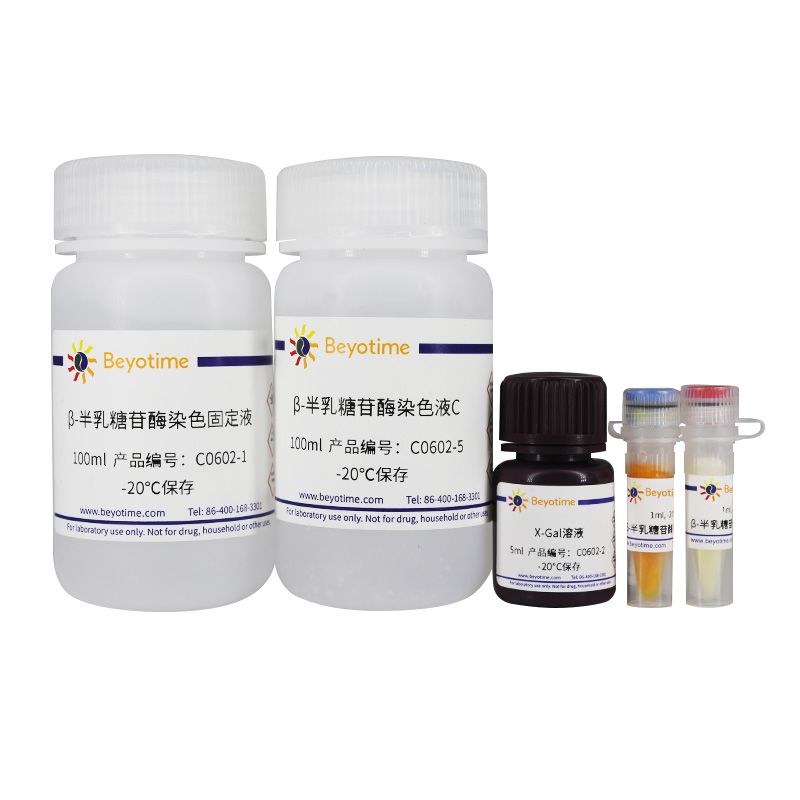 细胞衰老β-半乳糖苷酶染色试剂盒
