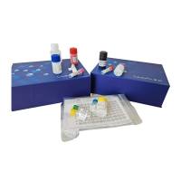 人稳定素1(STAB1)ELISA试剂盒