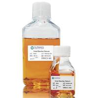 Fetal Bovine Serum (South America) (Qualified)