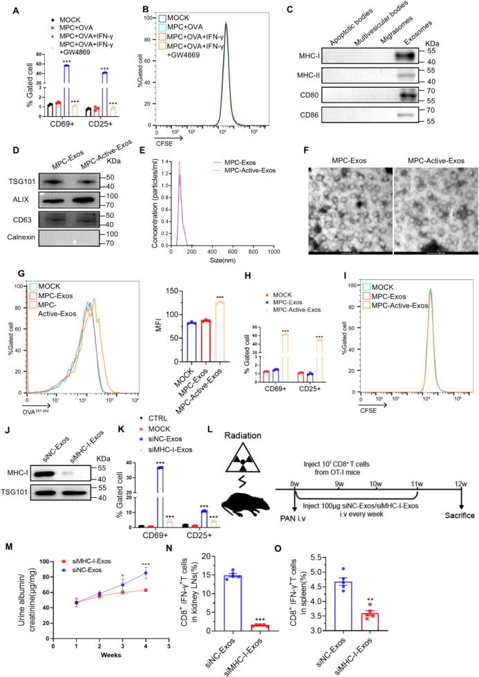 外泌体技术服务 外泌体技术服务