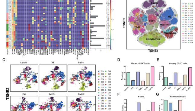 亚麻籽木脂素 + PD-1 抑制剂抗乳腺癌研究，解锁肠道菌群 - 免疫协同新机制