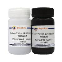 Bio-Lumi™ One II萤火虫萤光素酶报告基因检测试剂盒