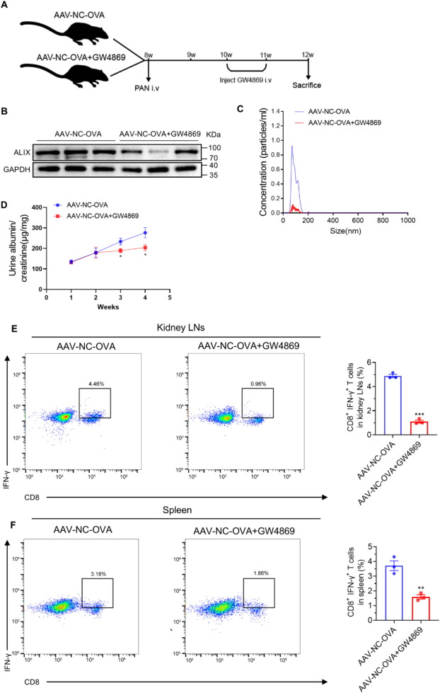 外泌体技术服务 外泌体技术服务