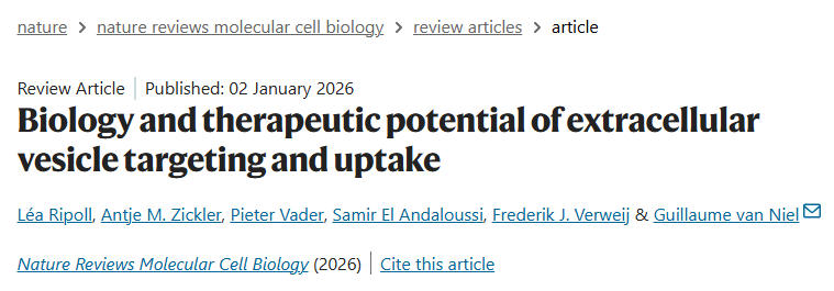 科研人收藏！90.2分综述深扒EVs：从生物分子冠靶向到内体逃逸递送，机制+工程化改造改造全解锁，值得深挖！