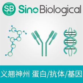 Recombinant DNase I (RNase-free)