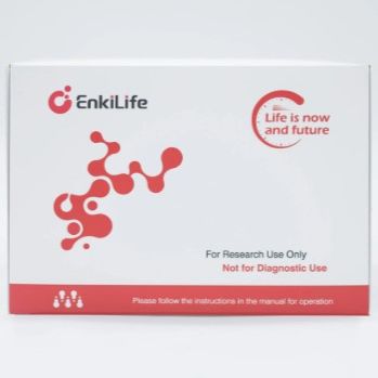 Mallory磷钨酸苏木素染色液(PTAH自然氧化法)