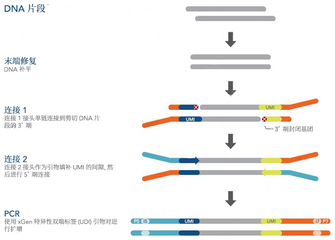 技术资料图片4