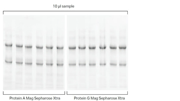技术资料图片15