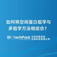 如何将空间蛋白组学与多组学方法相结合？