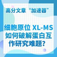 高分文章 “加速器”！细胞原位 XL-MS 如何破解蛋白互作研究难题？