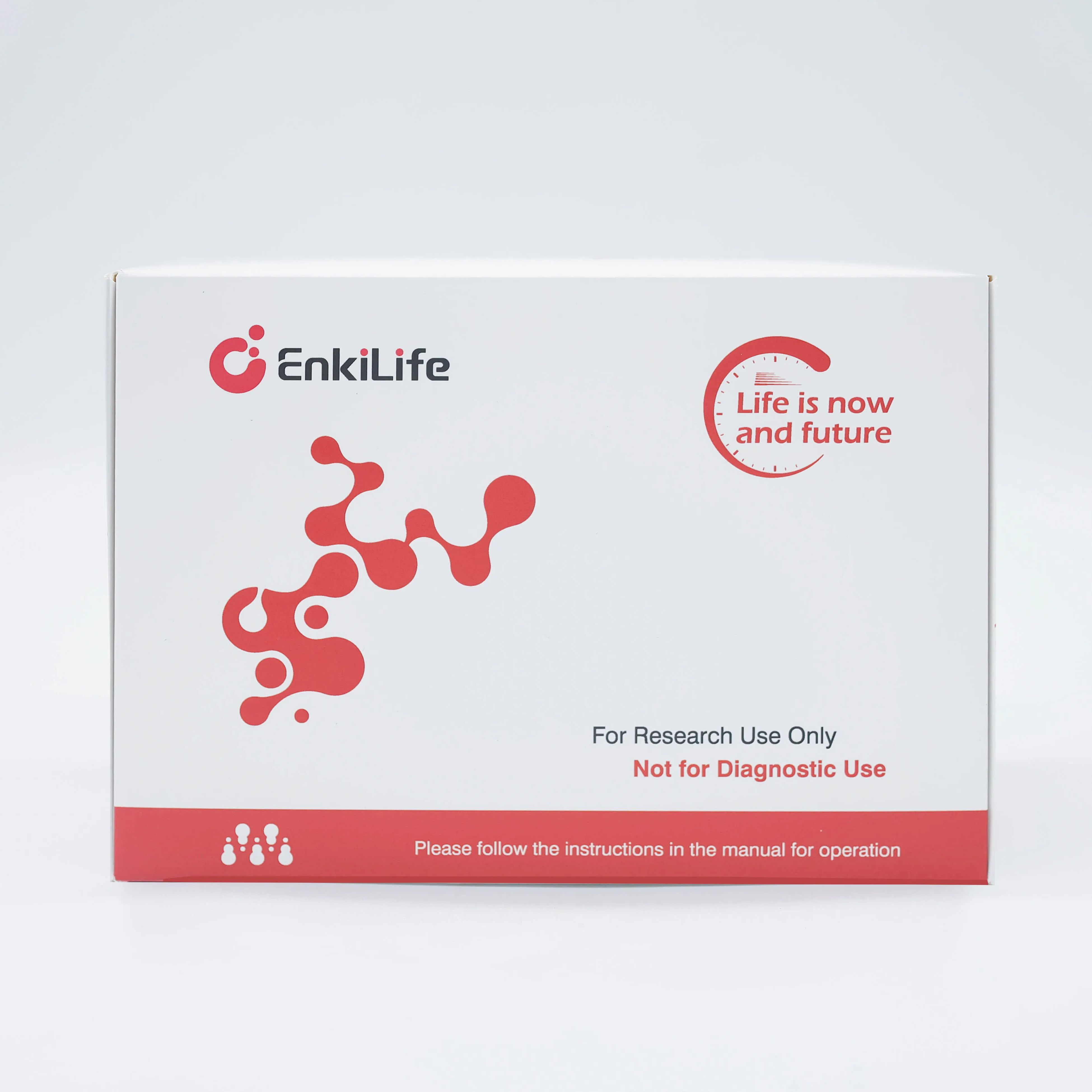 生物素 TUNEL 细胞凋亡试剂盒