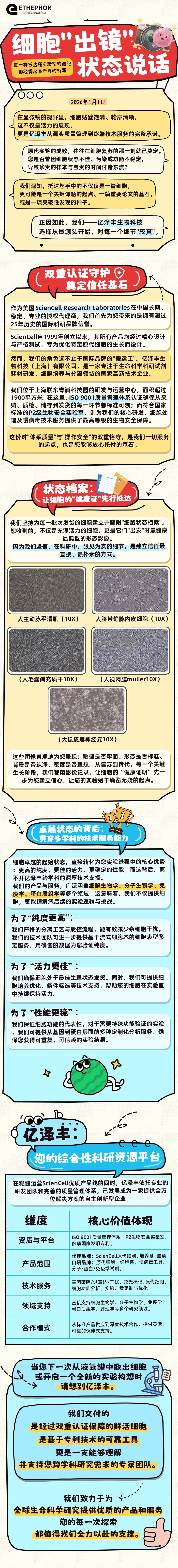 细胞“出镜”，状态说话 | 每一株抵达您实验室的细胞，都经得起最严苛的特写