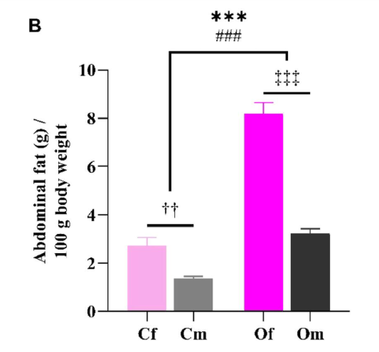 为什么女性更应关注肥胖？动物研究给出答案