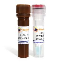 活性氧检测试剂盒