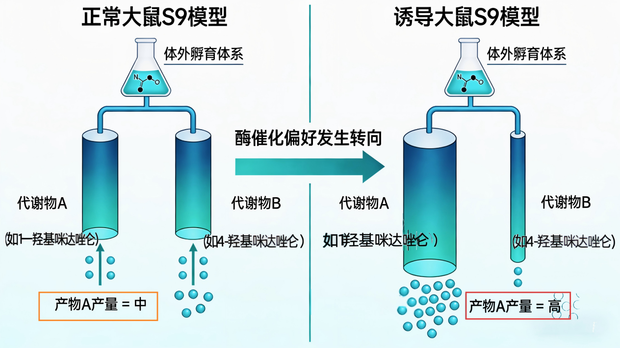 代谢π析 2-2.png 代谢π析 2-2.png