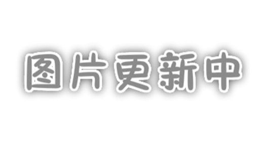 大鼠原代肾成纤维细胞