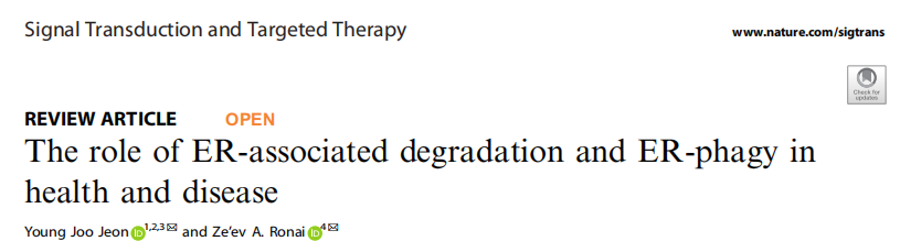 泛素化专题 |《Signal Transduction and Targeted Therapy》解读：ERAD 与 ER-phagy 在健康与疾病中的调控机制及治疗潜力