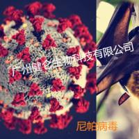 NiV-Ag尼 帕病毒抗原检测试剂盒（供疾控/科研实验）