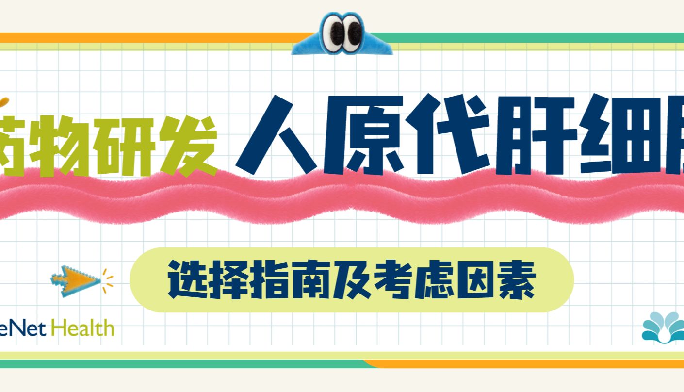 干货 | 药物研发中人原代肝细胞的选择指南与核心考虑因素