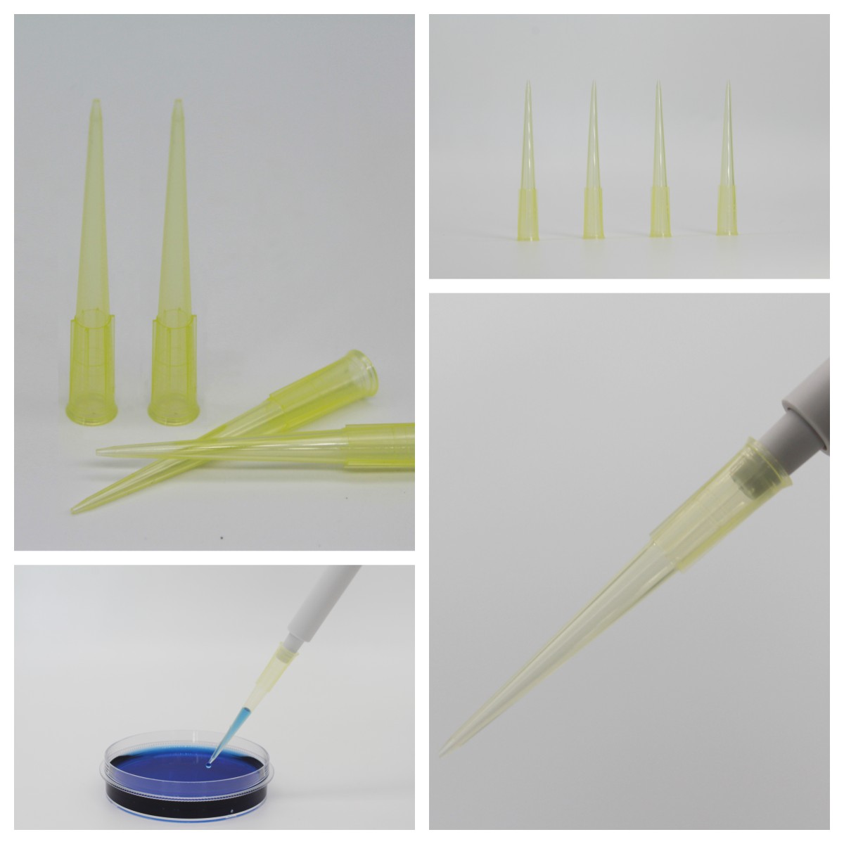 BUNSEN本生：使用移液器吸头的注意事项