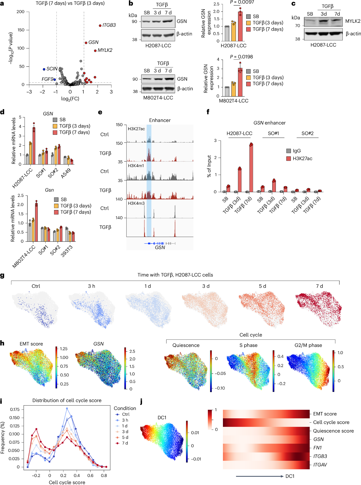 6390475864378169882727616