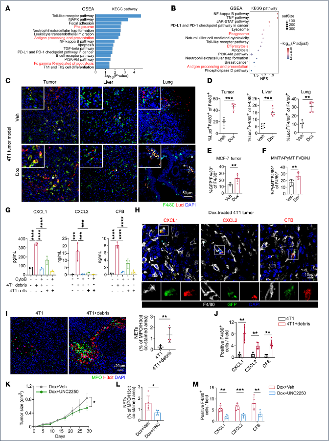 6390475771894697625735934