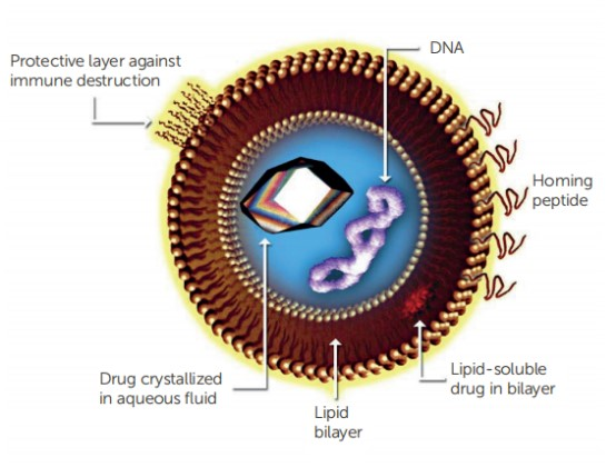 复杂制剂应用专题 | PSS粒度仪在脂质体行业上的应用