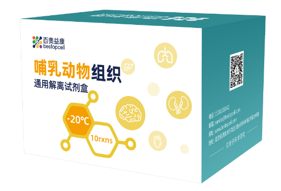 实验秘诀 | 百奥益康BA3303通用解离试剂盒，解锁多组织单细胞制备新体验
