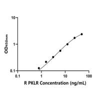 大鼠酸激酶同工酶R/L(PKLR)ELISA试剂盒