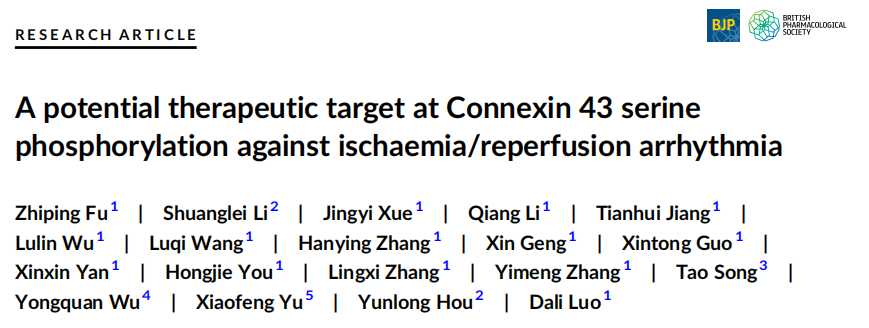 缺血再灌注心律失常的潜在治疗靶点—CX43丝氨酸磷酸化位点